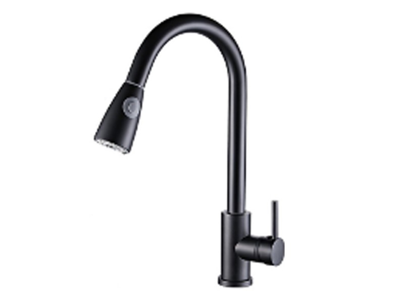 Pull-out Mixer Kitchen Faucet FA-BK22809